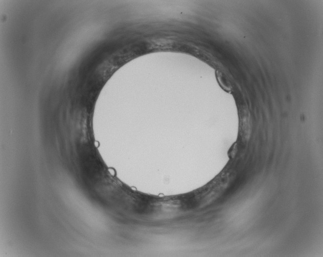 X0000077280525200611171605