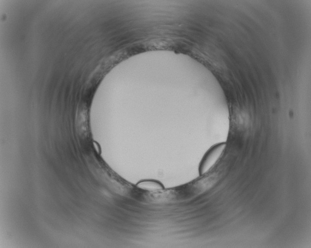 X0000077280526200611171605