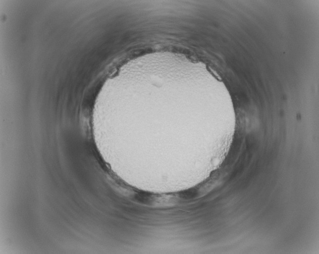 X0000077280527200611171605