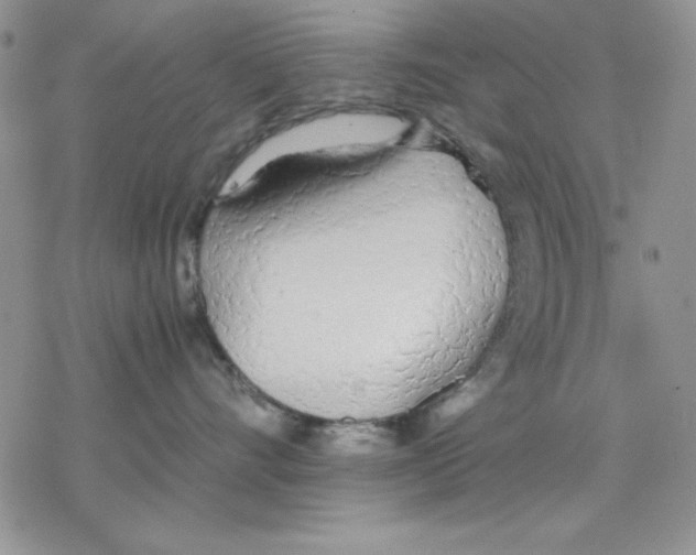 X0000077280528200611171605