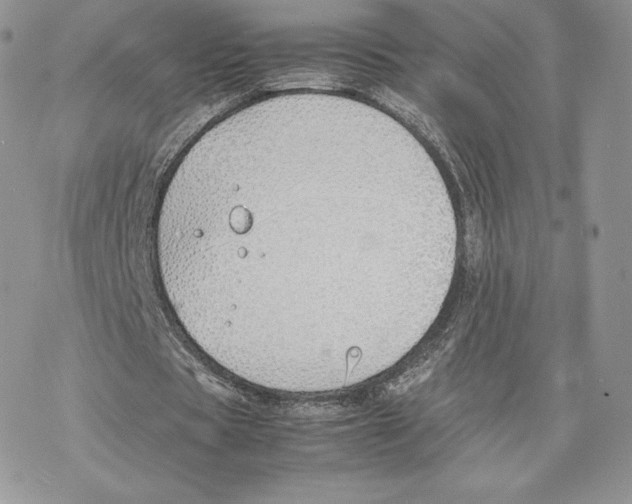 X0000077280529200611171604