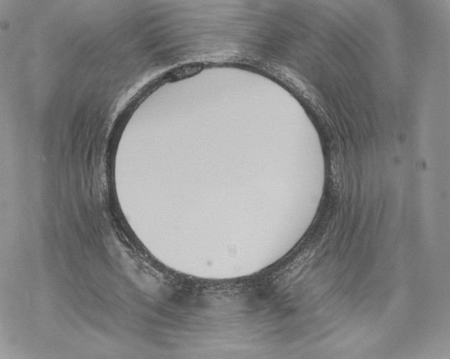 X0000077280532200611171604