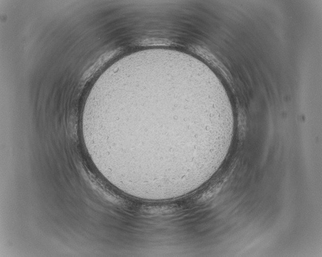 X0000077280533200611171604