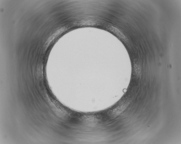 X0000077280534200611171604