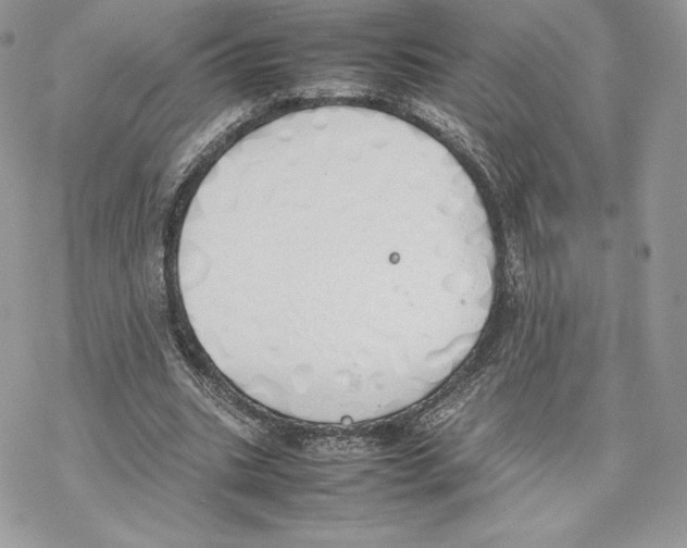 X0000077280535200611171604