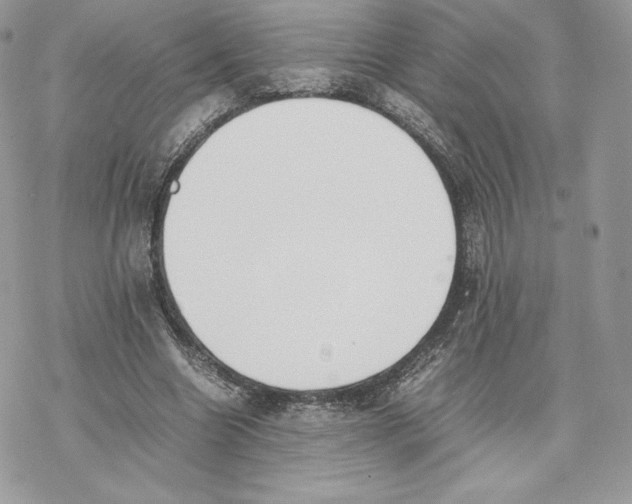 X0000077280538200611171604