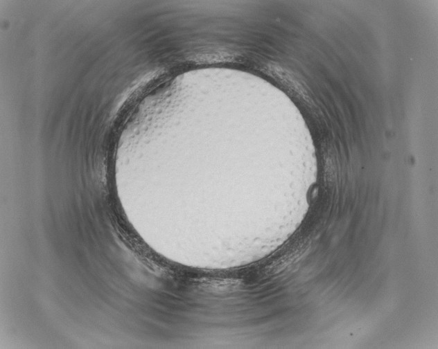 X0000077280539200611171604