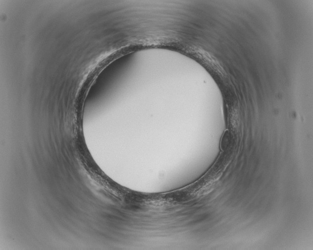 X0000077280540200611171604