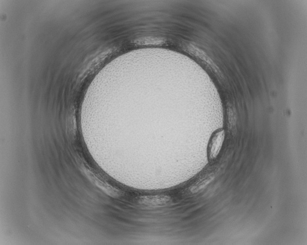 X0000077280541200611171604