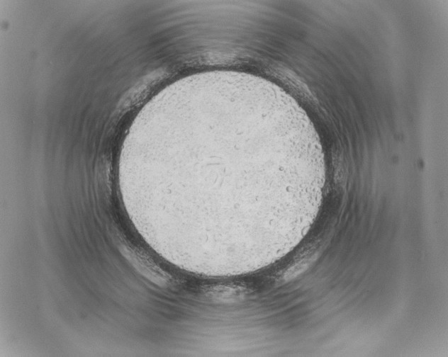 X0000077280542200611171604