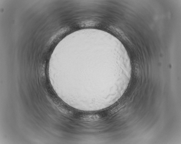 X0000077280543200611171605