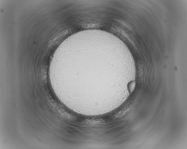 X0000077280545200611171605