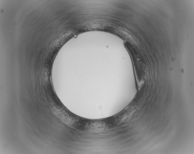 X0000077280546200611171605