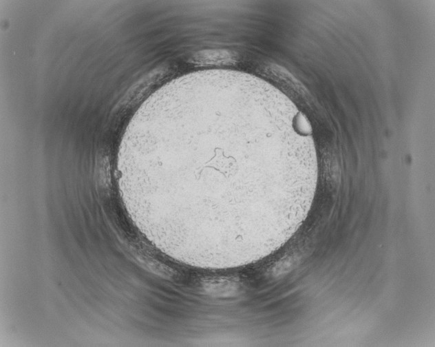 X0000077280549200611171605