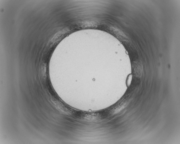 X0000077280550200611171605