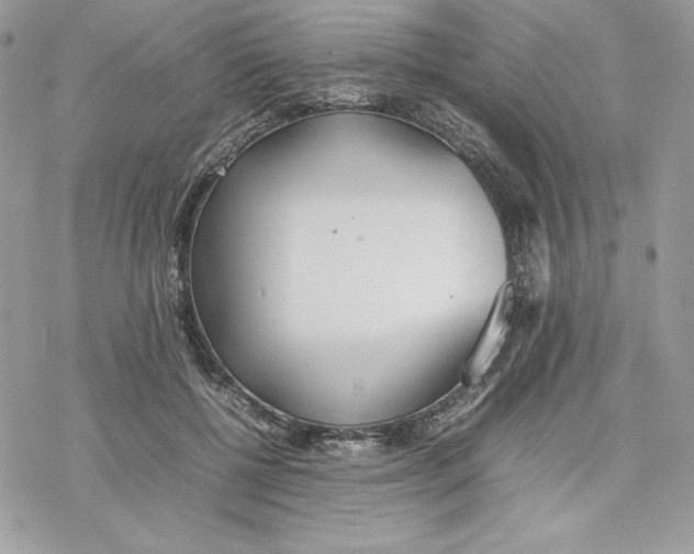 X0000077280552200611171605