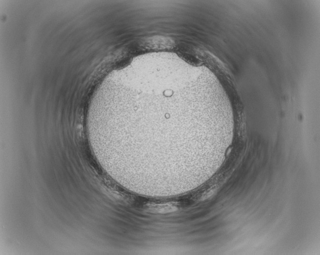 X0000077280553200611171605