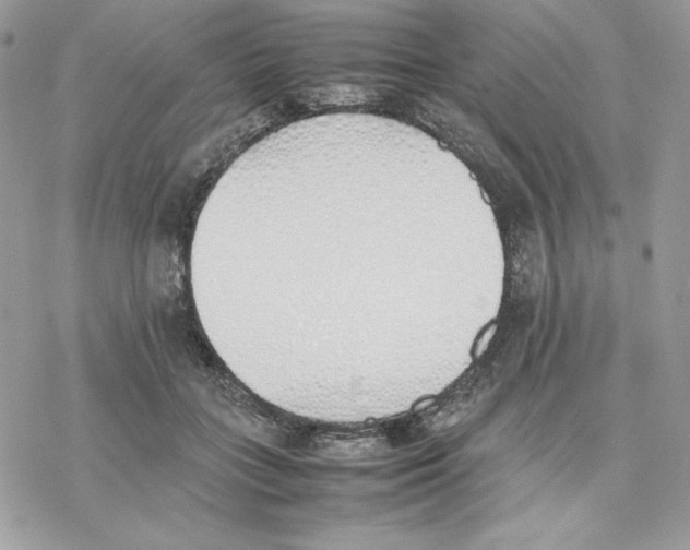 X0000077280555200611171605