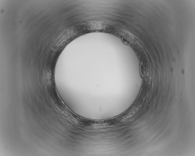 X0000077280556200611171605