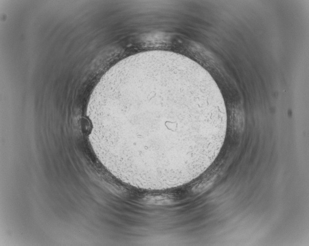 X0000077280557200611171605