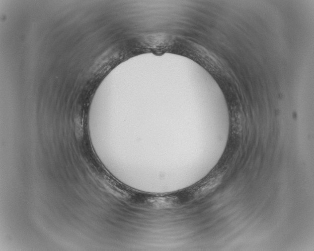 X0000077280558200611171605