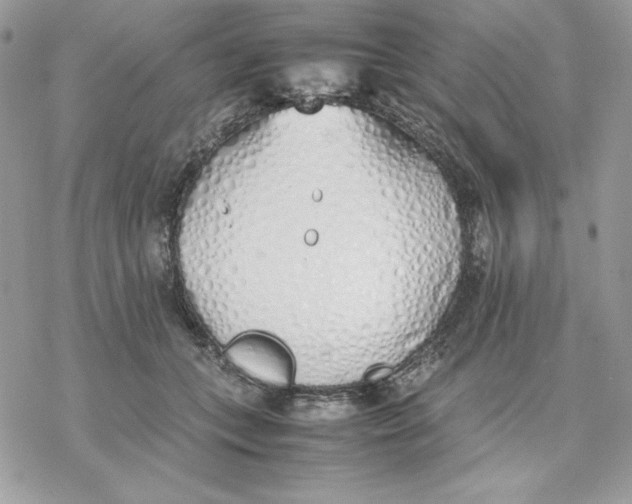 X0000077280559200611171605