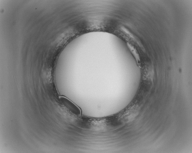 X0000077280560200611171605