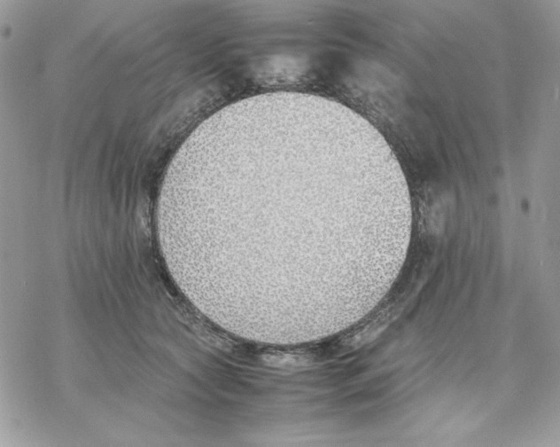 X0000077280561200611171605