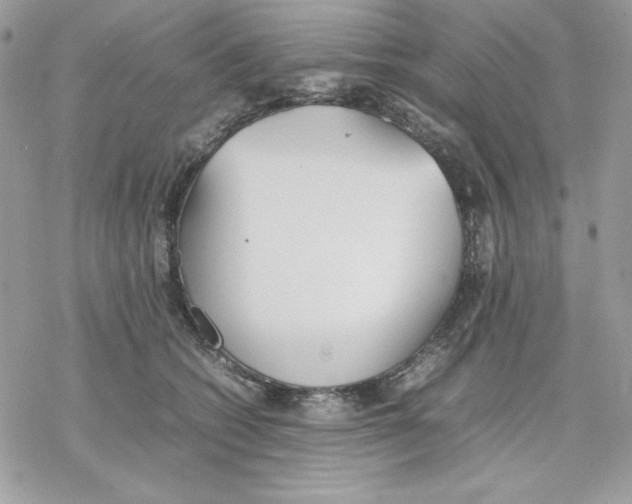 X0000077280562200611171605