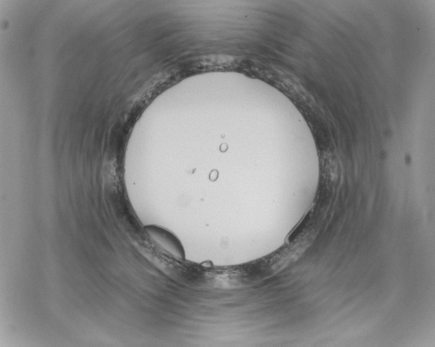 X0000077280564200611171605