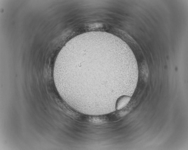 X0000077280565200611171605