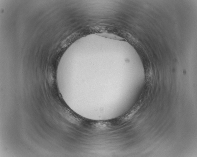 X0000077280566200611171605