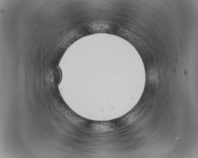 X0000077280567200611171605