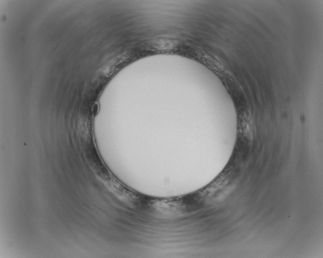 X0000077280568200611171605