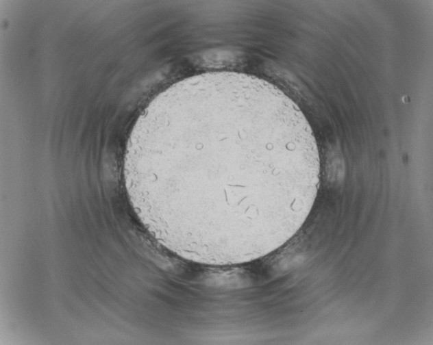 X0000077280569200611171605