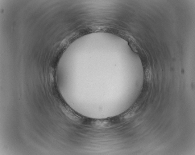 X0000077280570200611171605