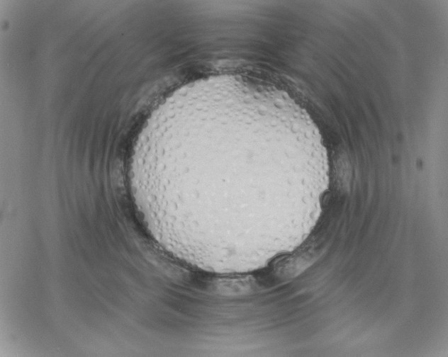 X0000077280571200611171605