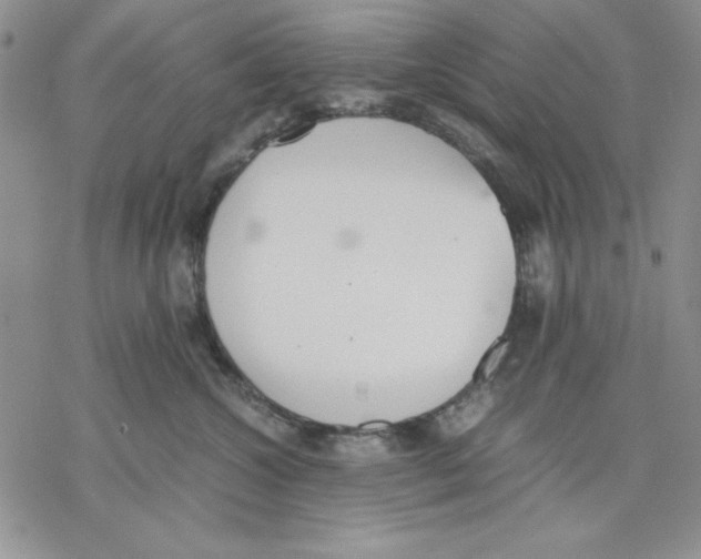 X0000077280572200611171605