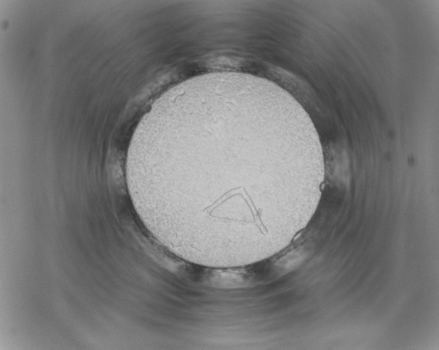 X0000077280573200611171605