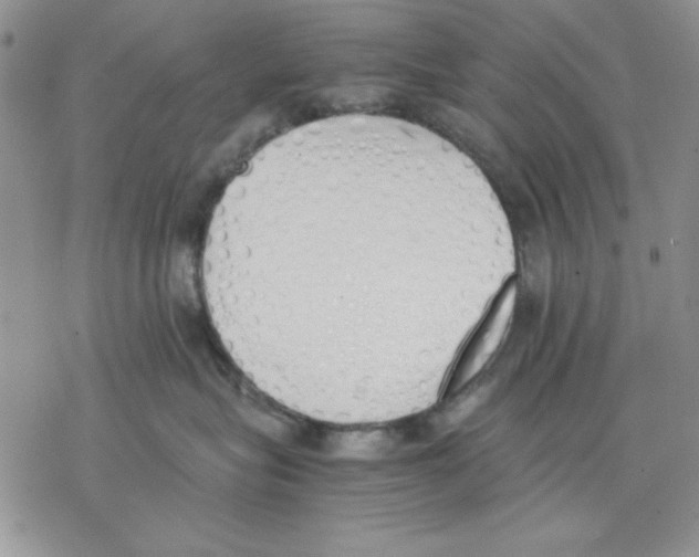 X0000077280575200611171605