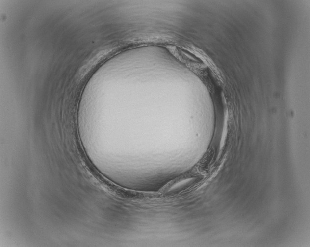 X0000077280577200611171604