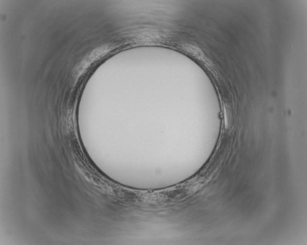 X0000077280579200611171604