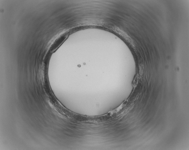 X0000077280580200611171604