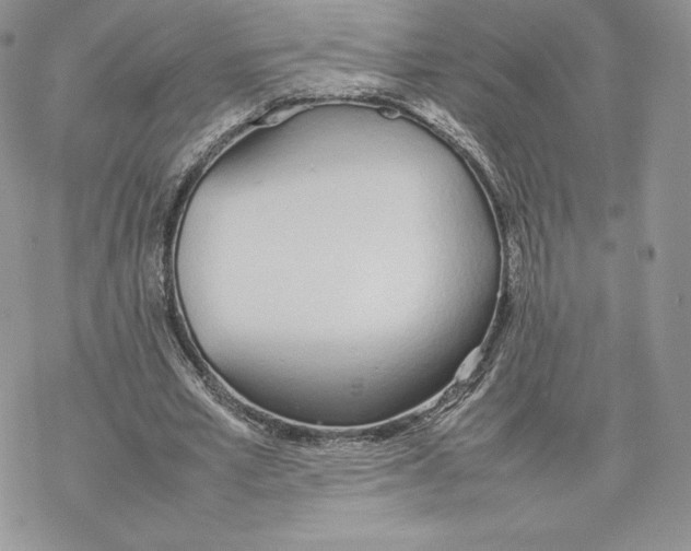 X0000077280581200611171604