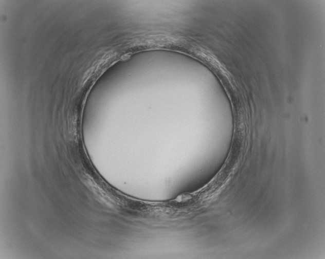 X0000077280585200611171604