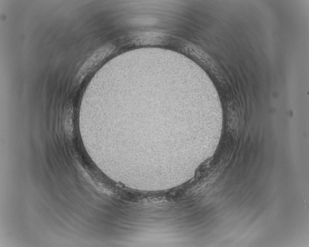 X0000077280586200611171604