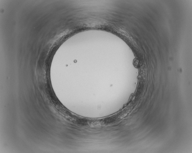 X0000077280587200611171604