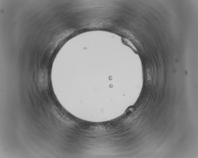 X0000077280588200611171604