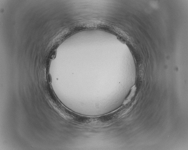 X0000077280589200611171604