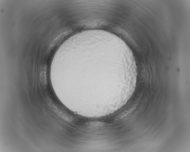 X0000077280590200611171604